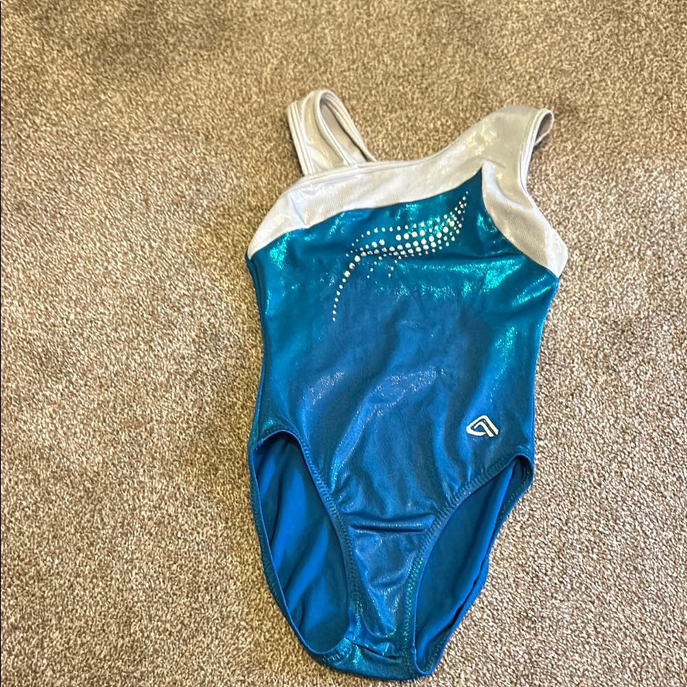 Blue and Silver Kids Leotard